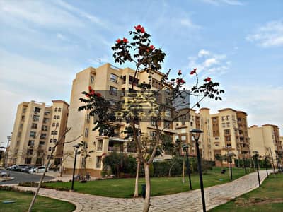 شقة 3 غرف نوم للبيع في مدينتي، القاهرة - d48a016a-dd2a-45ad-b10f-7306ed879b8b. jpeg