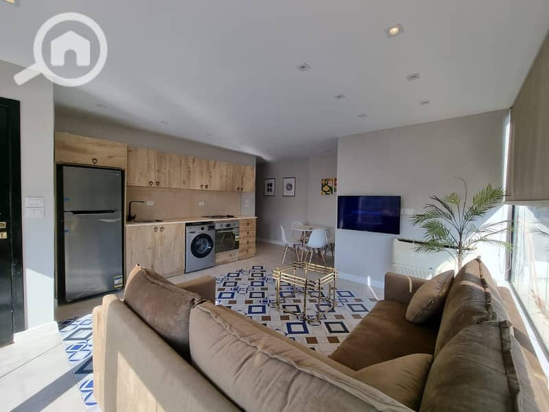 Furnished hotel penthouse for rent in Maadi – další