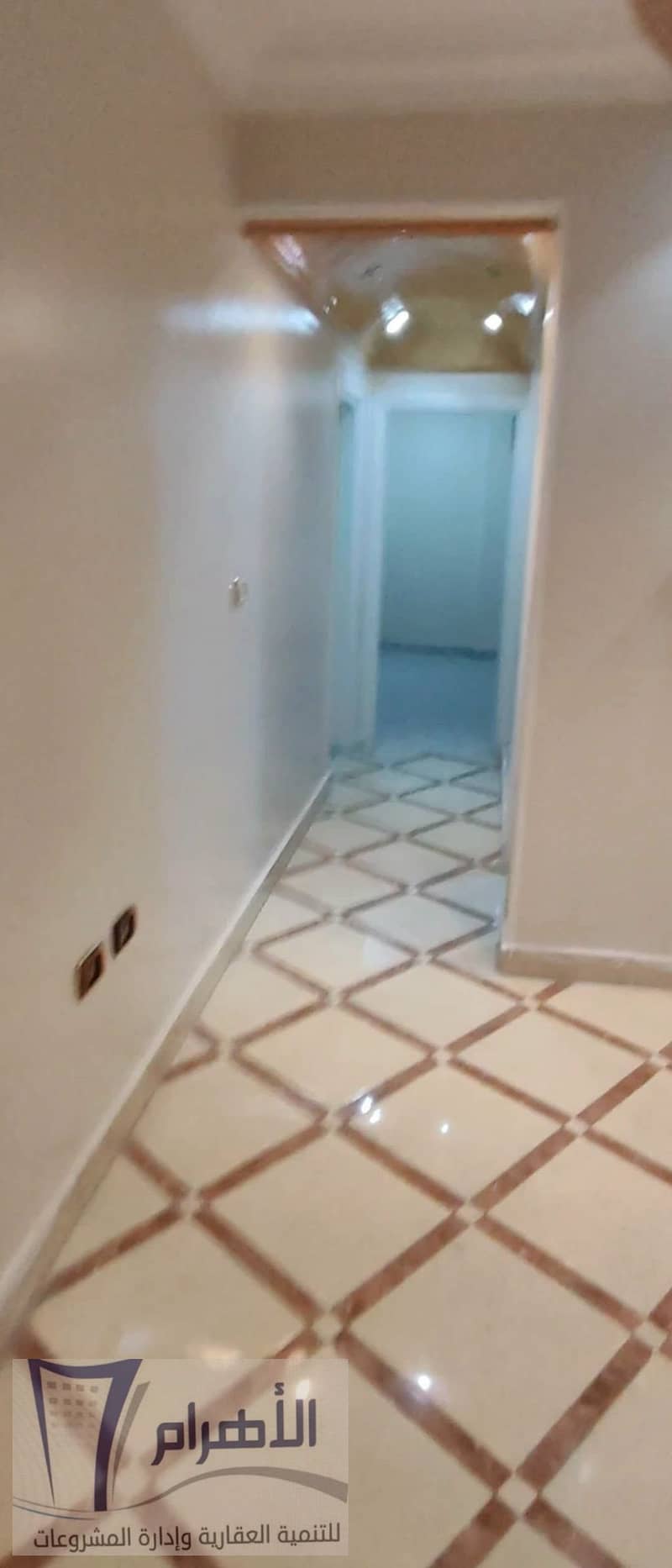 9 727519527_1440747294482022_7740124051336658825_n. jpeg
