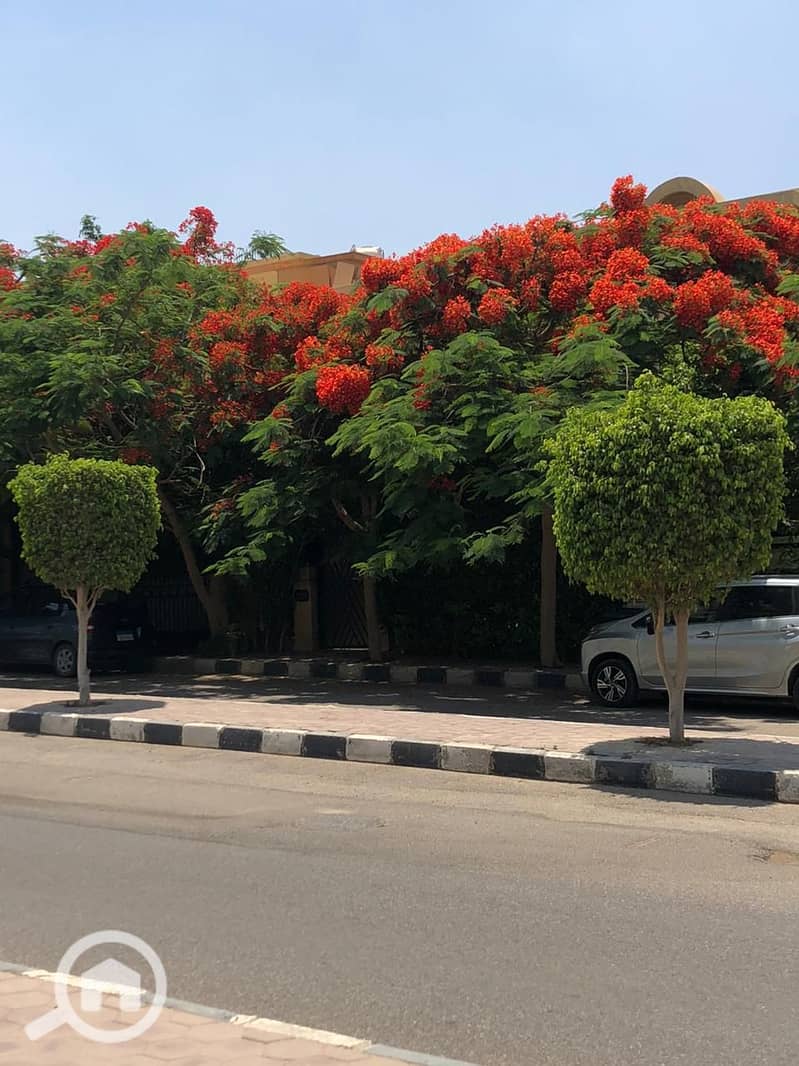 Villa for Rent in Al Rehab – New Cairo | 250 sqm Land | 220 sqm Built-Up Area | 4 Bedrooms | EGP 65,000/Month - Ansicht 3