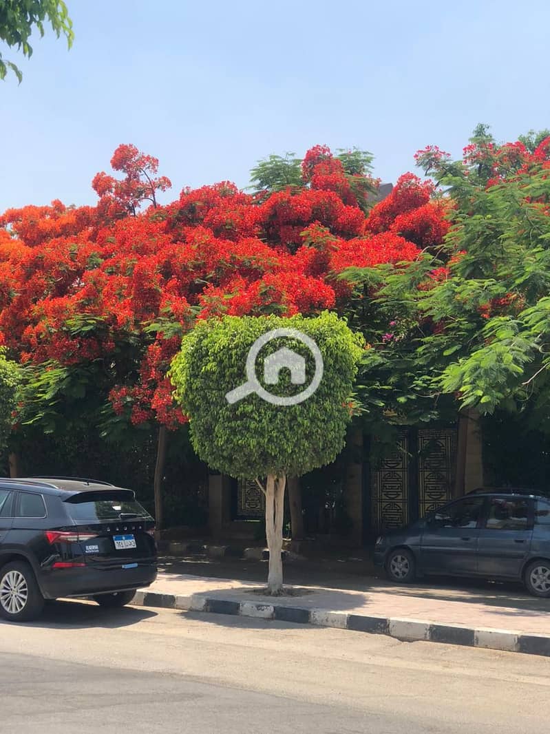 Villa for Rent in Al Rehab – New Cairo | 250 sqm Land | 220 sqm Built-Up Area | 4 Bedrooms | EGP 65,000/Month - Ansicht 4