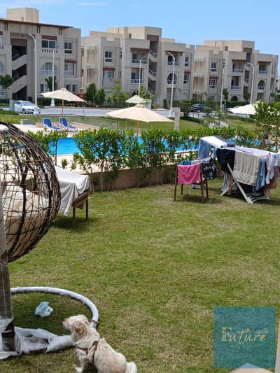 شاليه 2 غرفة نوم للايجار في الساحل الشمالي، مطروح - 1001590913. jpg
