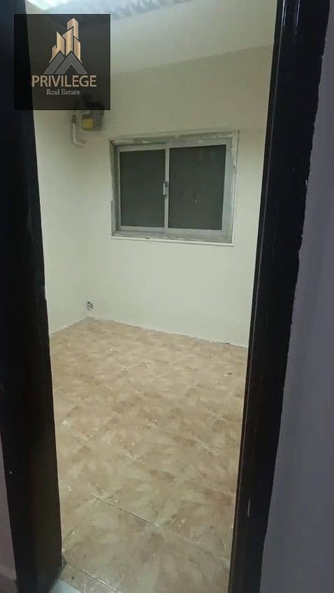 3 236852. jpg