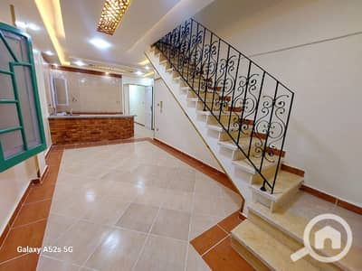 شقة 2 غرفة نوم للبيع في النخيل، الإسكندرية - 1000393667. jpg شقة 2 غرفة نوم للبيع في النخيل، الإسكندرية - 1000393667. jpg