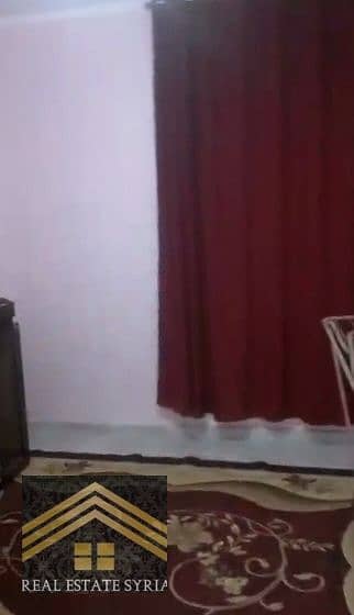 13 1000504372. jpg