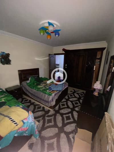 شقة 2 غرفة نوم للايجار في كليوباترا، الإسكندرية - 136525. jpg شقة 2 غرفة نوم للايجار في كليوباترا، الإسكندرية - 136525. jpg