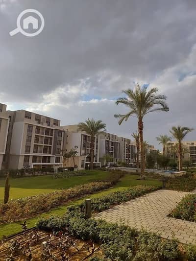3 Bedroom Apartment for Rent in New Cairo, Cairo - 641604416_122177379512770444_3282798039346778936_n. jpg