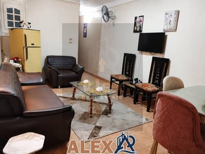 1 Bedroom Flat for Rent in Roushdy, Alexandria - WhatsApp Image 2026-06-22 at 3.37. 00 PM. jpeg