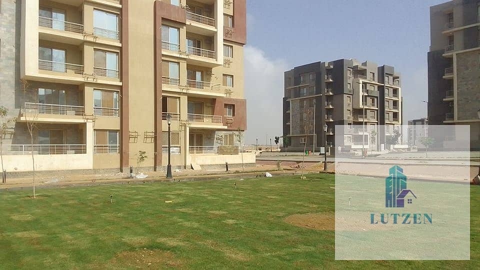 darmisr. jpg darmisr. jpg