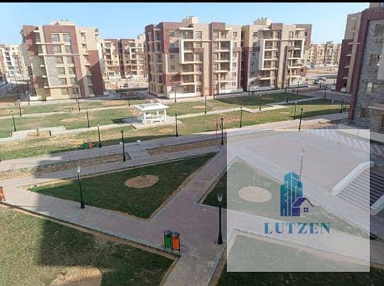 3 darmisr2. jpeg