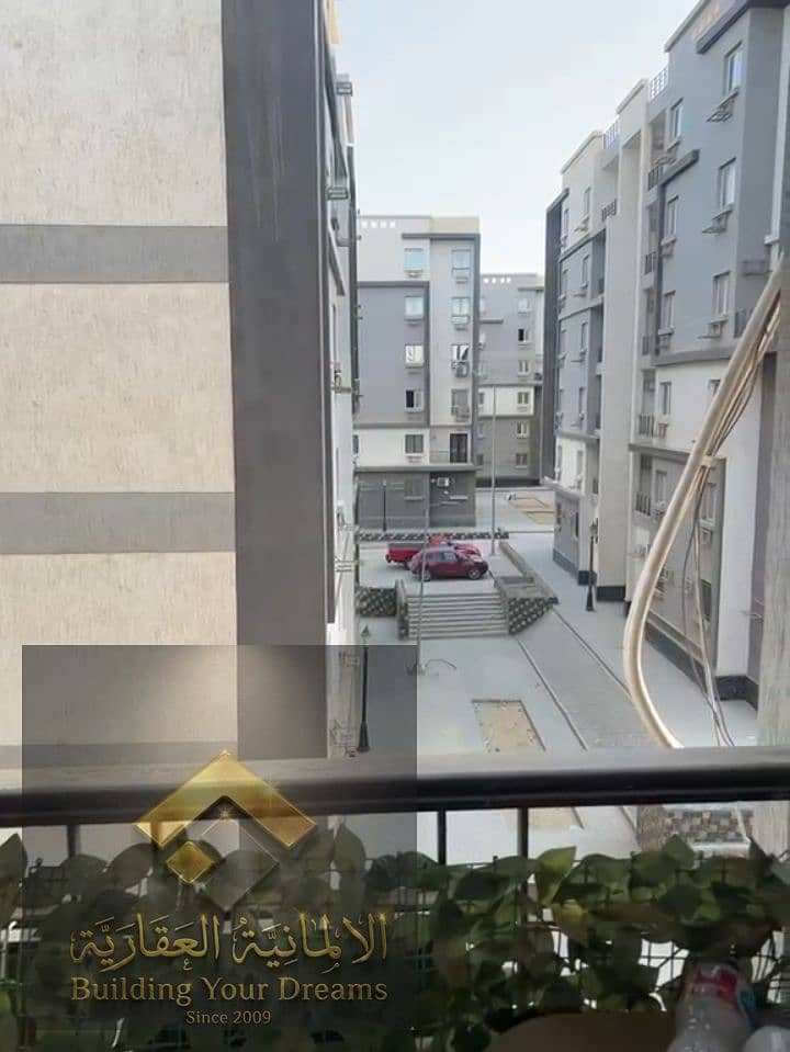 5 164580. jpg