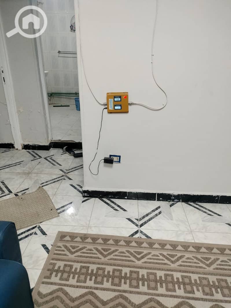 8 177661. jpg