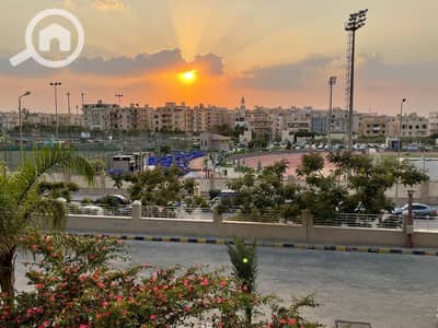 1 Bedroom Flat for Rent in New Cairo, Cairo - 4613fa8d-5ae4-4fd1-8bb2-bec17b53ca55. jpeg 1 Bedroom Flat for Rent in New Cairo, Cairo - 4613fa8d-5ae4-4fd1-8bb2-bec17b53ca55. jpeg