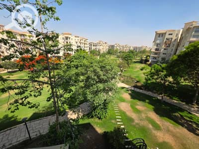4 Bedroom Flat for Rent in Madinaty, Cairo - 1000730041. jpg 4 Bedroom Flat for Rent in Madinaty, Cairo - 1000730041. jpg