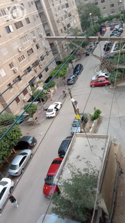2 Bedroom Apartment for Rent in Sheraton, Cairo - 177961. jpg 2 Bedroom Apartment for Rent in Sheraton, Cairo - 177961. jpg