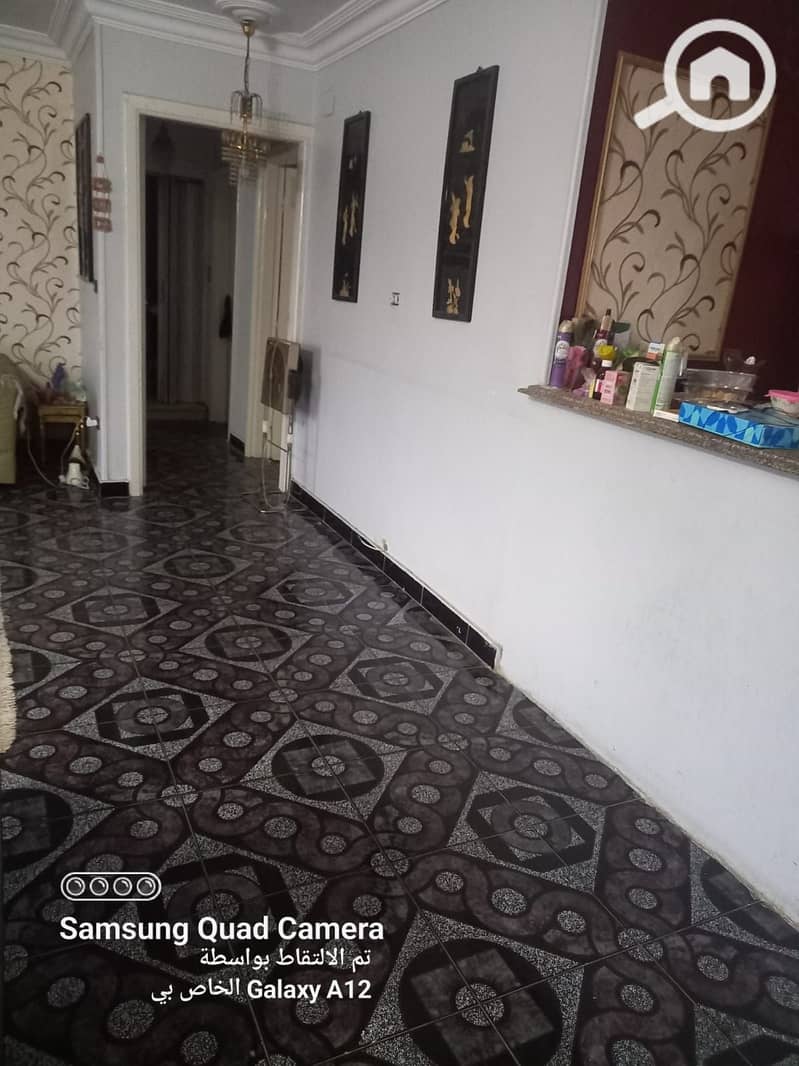 7 177913. jpg
