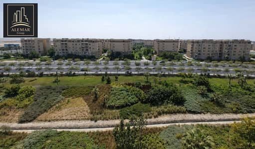 3 Bedroom Apartment for Sale in Madinaty, Cairo - 1000181630. jpg 3 Bedroom Apartment for Sale in Madinaty, Cairo - 1000181630. jpg