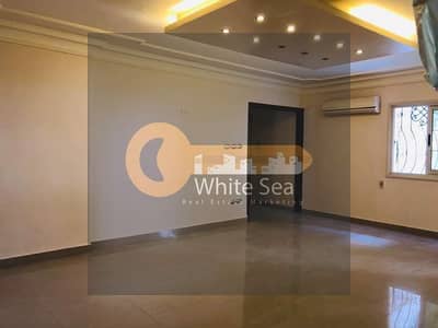 مکتب  للايجار في سموحة، الإسكندرية - 1000105230. jpg
