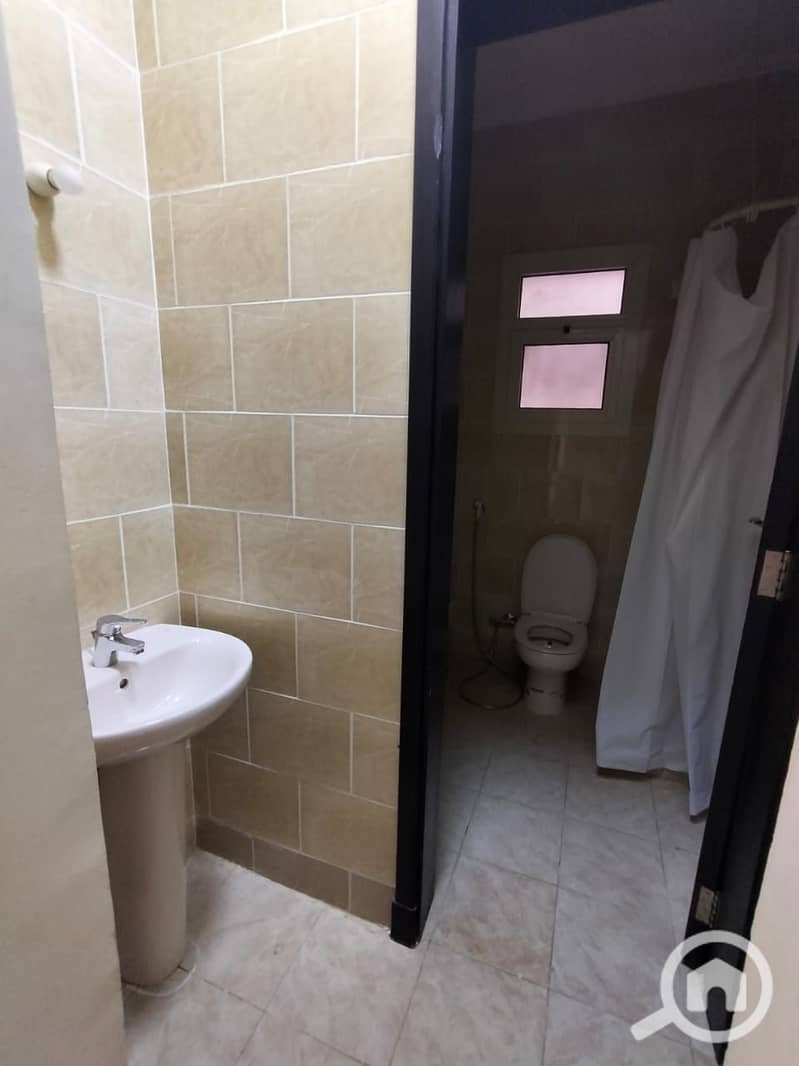 5 368249. jpg