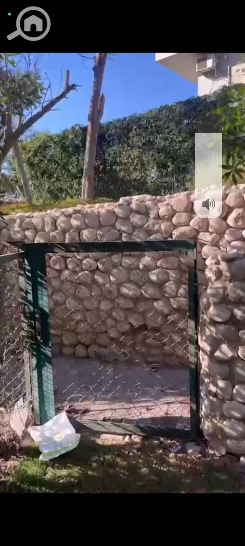 3 1000741910. jpg