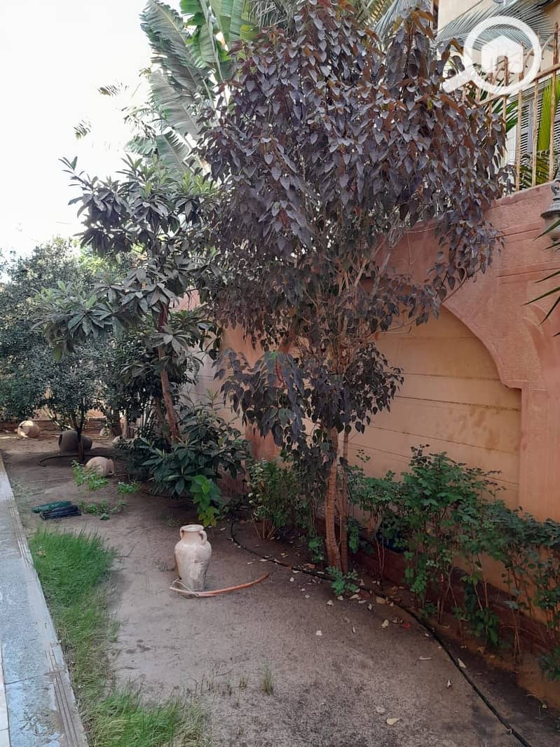 Furnished ground duplex with a garden for rent in the first neighborhood in New Cairo, modern and contemporary furniture. - Ansicht 3