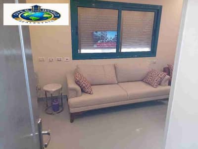 1 Bedroom Apartment for Rent in Maadi, Cairo - 1000077593. jpg 1 Bedroom Apartment for Rent in Maadi, Cairo - 1000077593. jpg