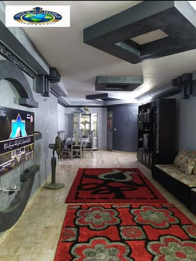 3 Bedroom Apartment for Rent in Maadi, Cairo - 1000055653. jpg 3 Bedroom Apartment for Rent in Maadi, Cairo - 1000055653. jpg