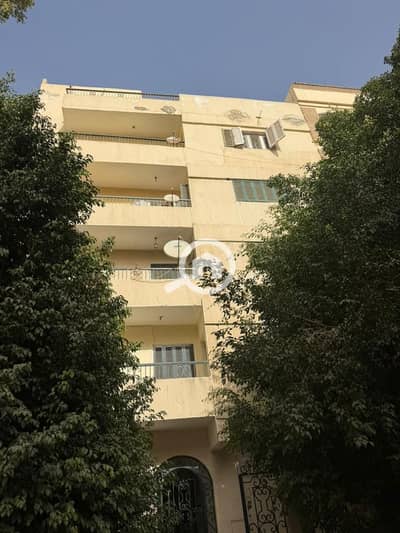 عقار سكني آخر 3 غرف نوم للبيع في 6 اكتوبر، الجيزة - WhatsApp Image 2026-06-23 at 2.03. 39 PM (3). jpeg عقار سكني آخر 3 غرف نوم للبيع في 6 اكتوبر، الجيزة - WhatsApp Image 2026-06-23 at 2.03. 39 PM (3). jpeg