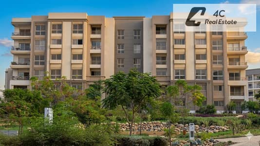 3 Bedroom Flat for Sale in New Cairo, Cairo - Gemini_Generated_Image_8vt4vu8vt4vu8vt4. png 3 Bedroom Flat for Sale in New Cairo, Cairo - Gemini_Generated_Image_8vt4vu8vt4vu8vt4. png