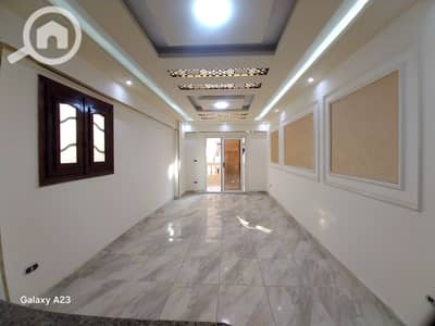 فلیٹ 3 غرف نوم للبيع في النخيل، الإسكندرية - 1000431441. heic