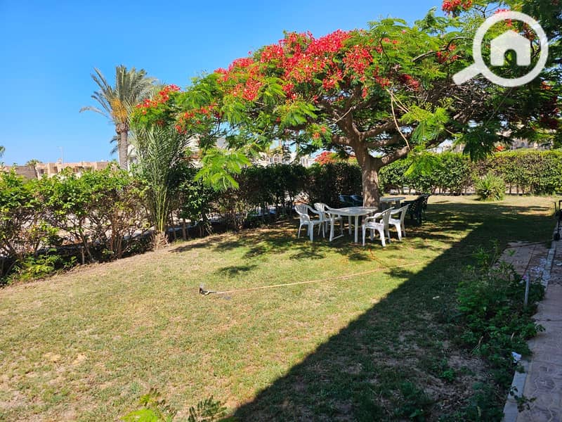 Ground floor chalet for rent in Marina 5 - Więcej