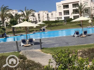 شاليه 3 غرف نوم للايجار في الساحل الشمالي، مطروح - 61616194-31bd-48f0-b671-e71a2873867a. jpg شاليه 3 غرف نوم للايجار في الساحل الشمالي، مطروح - 61616194-31bd-48f0-b671-e71a2873867a. jpg