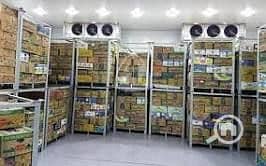 Land licensed for food storage 4000 sq m - Widok 6