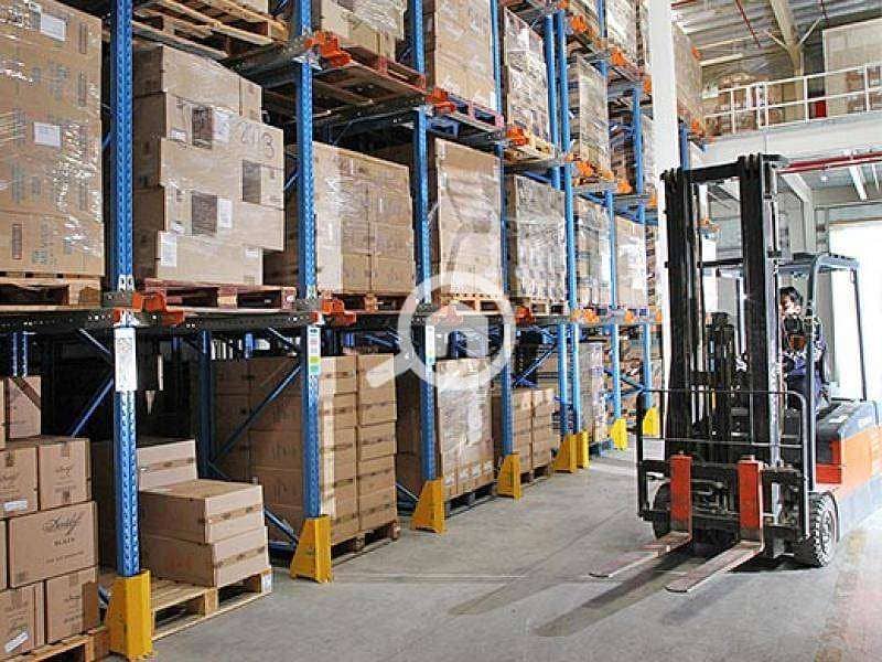 5 1067887. jpg
