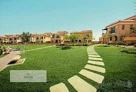 7 images (1). jpg