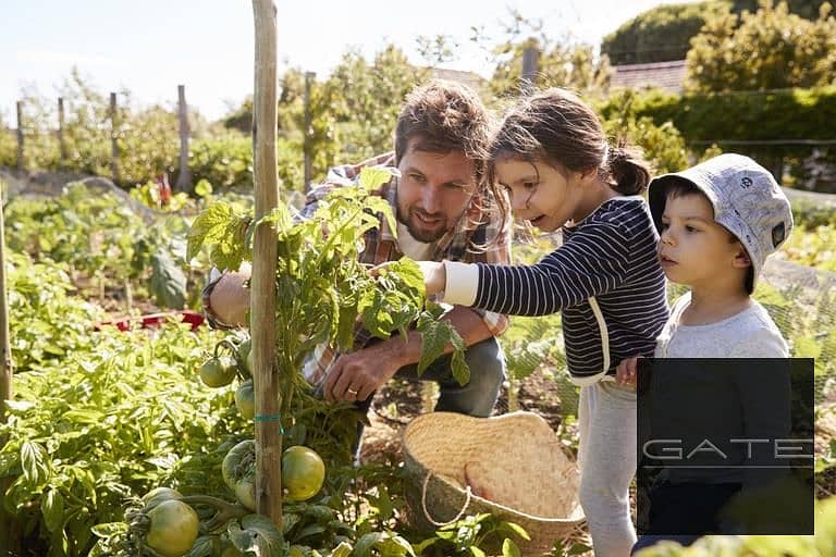 6 خدمات-كمبوند-اليفا-المستقبل-سيتي. jpg
