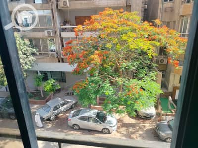 3 Bedroom Apartment for Rent in Maadi, Cairo - 1000361127. jpg 3 Bedroom Apartment for Rent in Maadi, Cairo - 1000361127. jpg