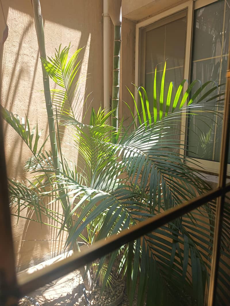 For sale, duplex apartment 260m in Zahraa El Maadi, prime location - Ansicht 4