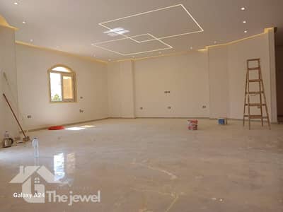 10+ Beds Villa for Rent in New Cairo, Cairo - 1000438411. jpg 10+ Beds Villa for Rent in New Cairo, Cairo - 1000438411. jpg
