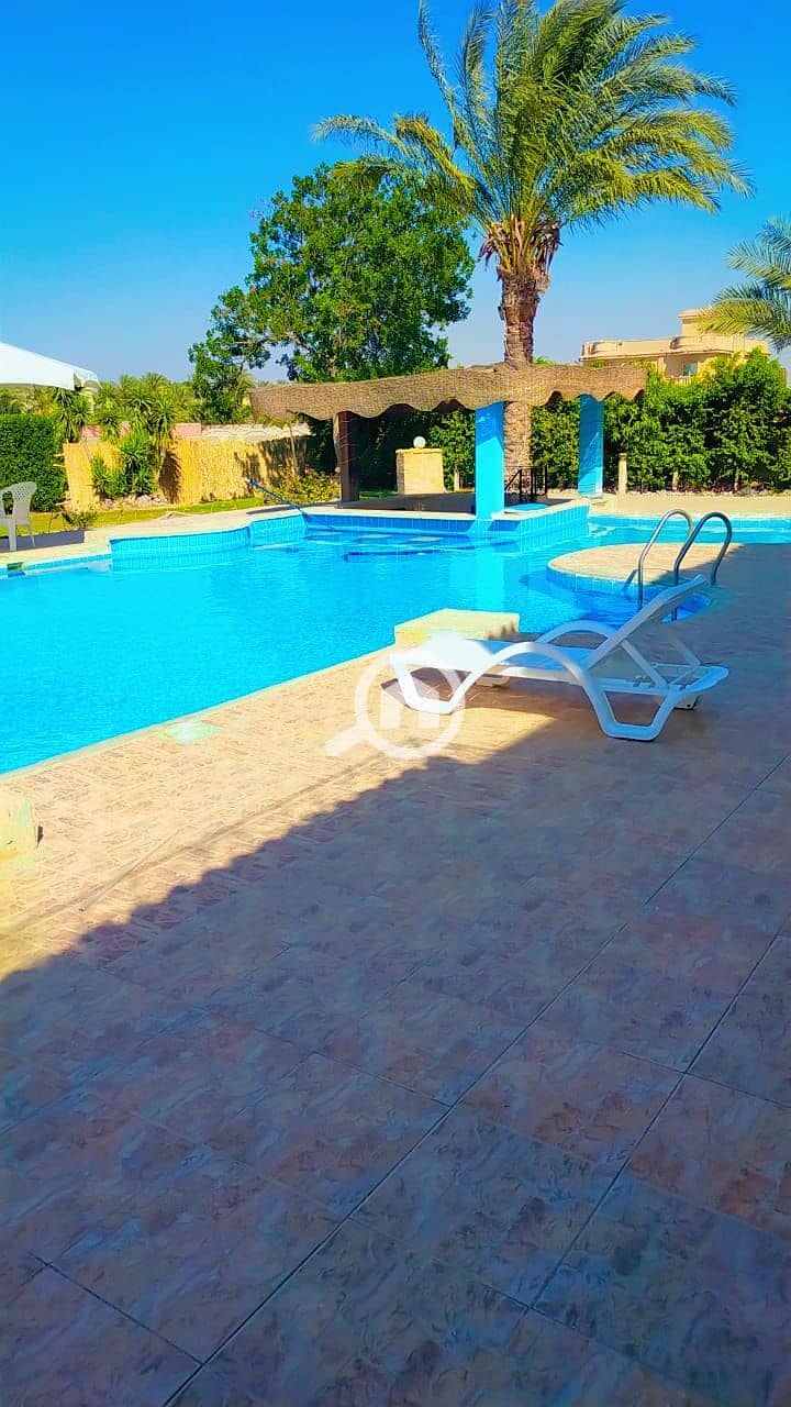 5 WhatsApp Image 2026-06-24 at 14.49. 18. jpeg