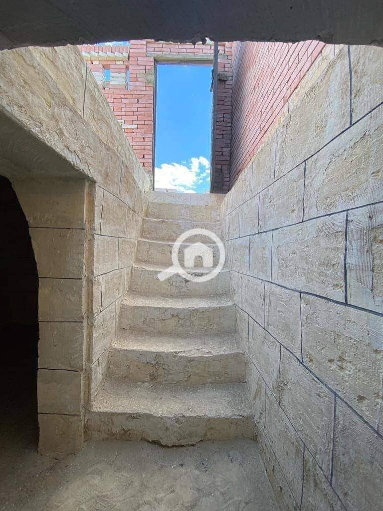 12 1000271065. jpg