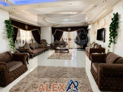 3 Bedroom Flat for Rent in Camp Caesar, Alexandria - WhatsApp Image 2026-06-25 at 2.51. 25 PM. jpeg 3 Bedroom Flat for Rent in Camp Caesar, Alexandria - WhatsApp Image 2026-06-25 at 2.51. 25 PM. jpeg
