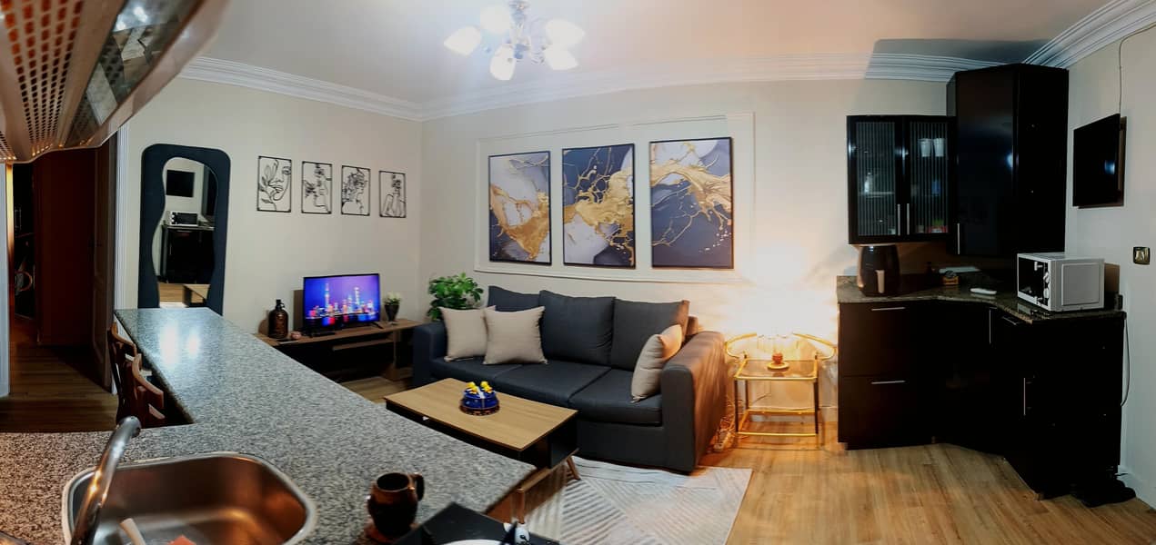 Fully Renovated Cozy Studio Downtown Cairo for rent - Widok 2