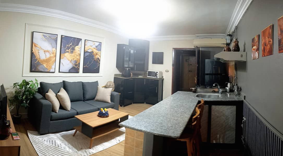 Fully Renovated Cozy Studio Downtown Cairo for rent - Widok 4