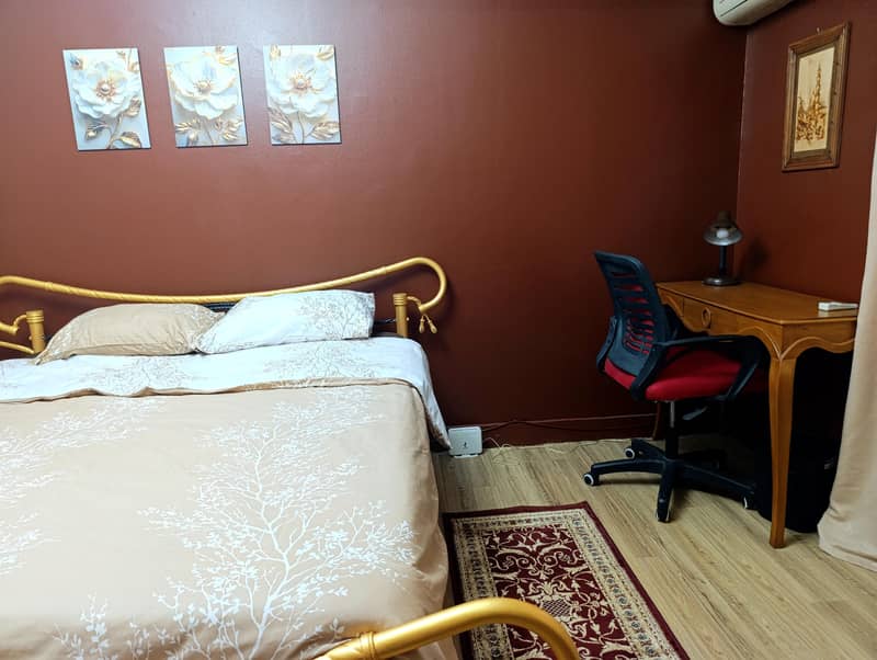 Fully Renovated Cozy Studio Downtown Cairo for rent - Widok 6