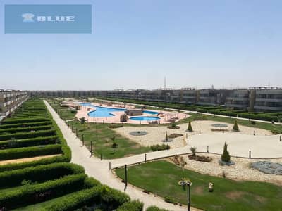 3 Bedroom Chalet for Rent in Ain Sukhna, Suez - 79619. jpg 3 Bedroom Chalet for Rent in Ain Sukhna, Suez - 79619. jpg