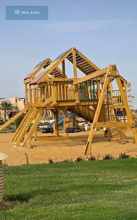 7 68295. jpg