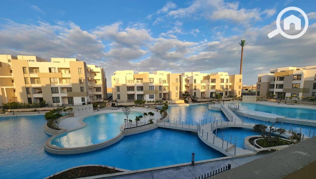 8 1000206774. jpg