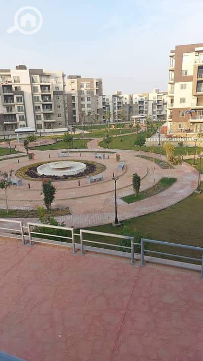3 Bedroom Flat for Rent in New Cairo, Cairo - 1002290593. jpg
