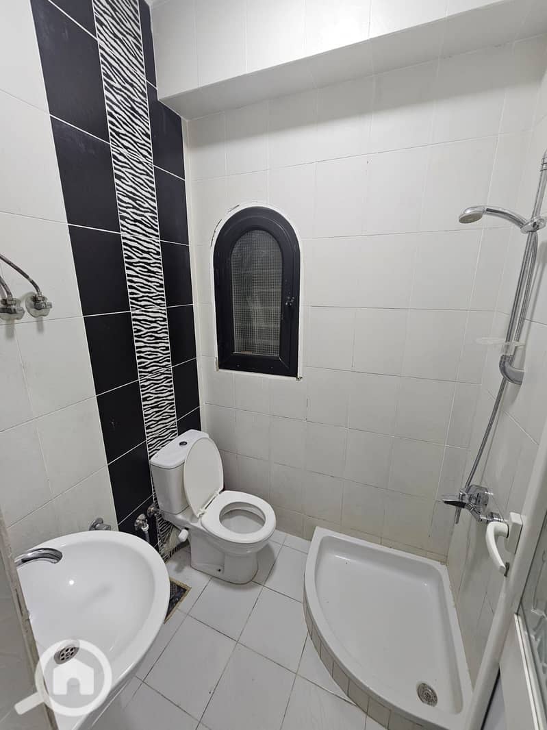 26 84955. jpg
